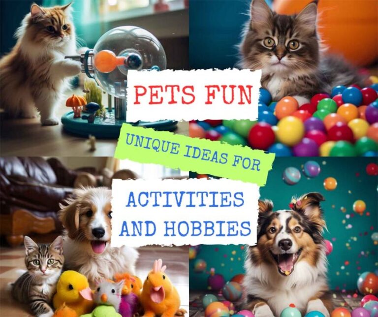 PETS FUN: Unique ideas for activities and hobbies