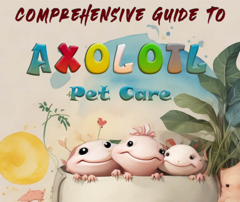 Comprehensive Guide to Axolotl Amphibian Pet Care