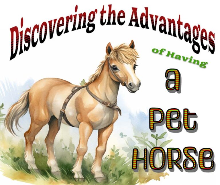 Discovering the Advantages of Having a Pet Horse