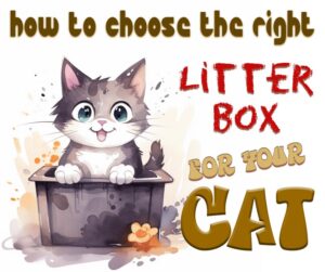 How to Choose the Right Litter Box for Your Cat