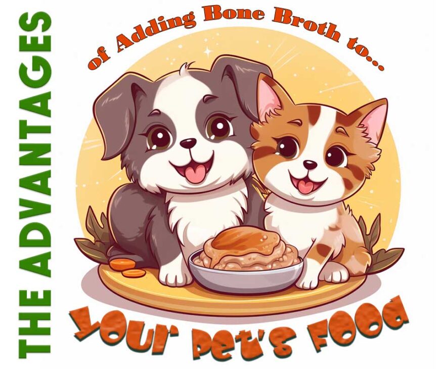 The Advantages of Adding Bone Broth to Your Pet's Food