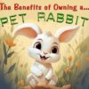 The Benefits of Owning a Pet Rabbit