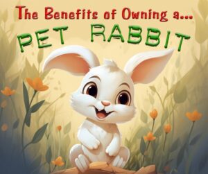 The Benefits of Owning a Pet Rabbit