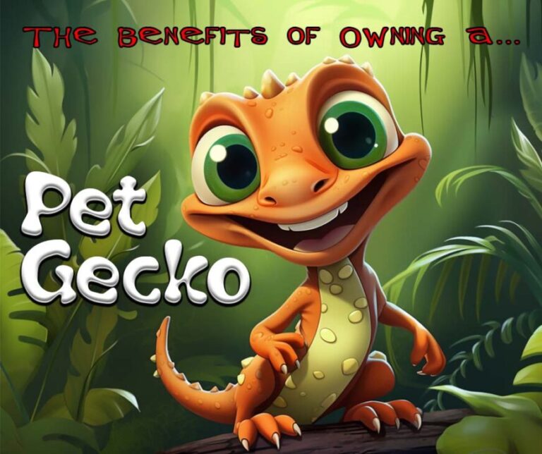 The benefits of owning a pet gecko